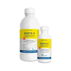 Forte G - Image 1