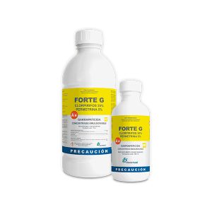 Forte G - Image 1